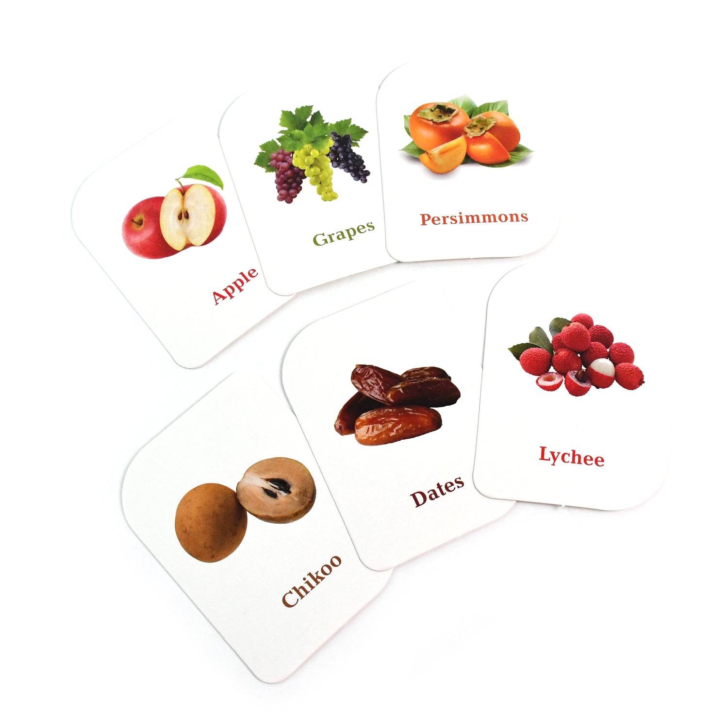 Kidkraft Early Learner Educational Flashcards  32 Birds Kidkraft Early Learner Educational Flashcards  32 Birds